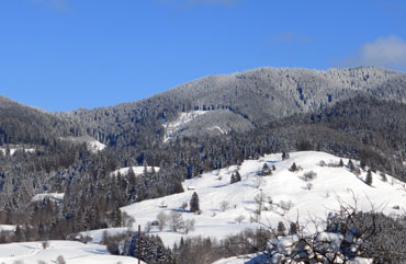 Ferienwohnungen Haus Lindauer im Winter